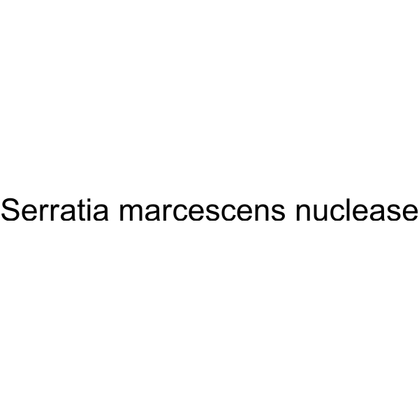 Serratia marcescens nuclease 9025-65-4